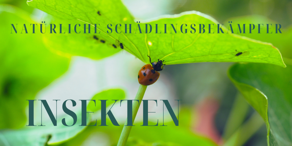 Insekten