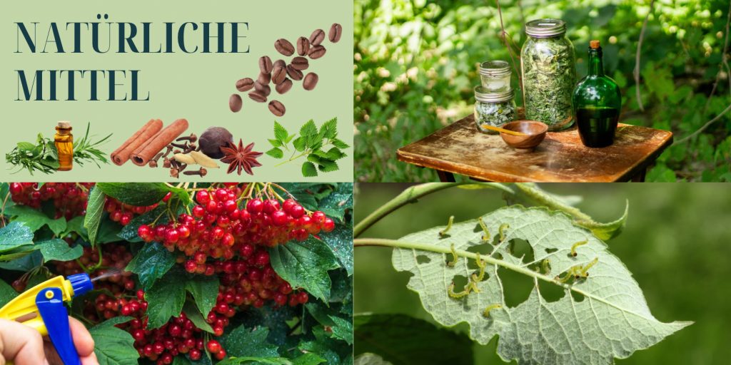 Natürliche Mittel