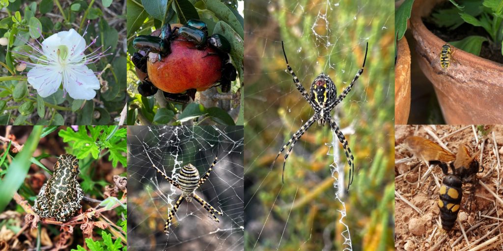 bilddateien webseite (1200 x 600 px)