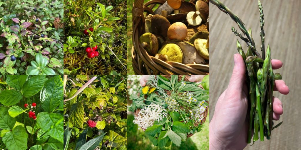 bilddateien webseite (1200 x 600 px)