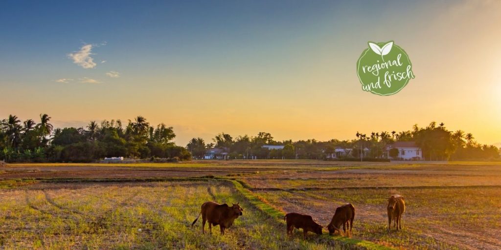 Regional und Saisonal