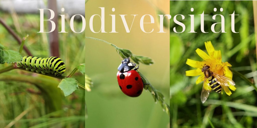 Biodiversität